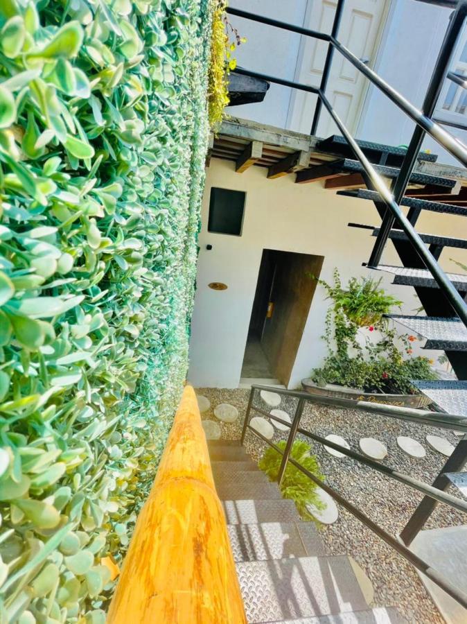 Hostel Musa Paradisiaca Santa Marta  Exterior photo